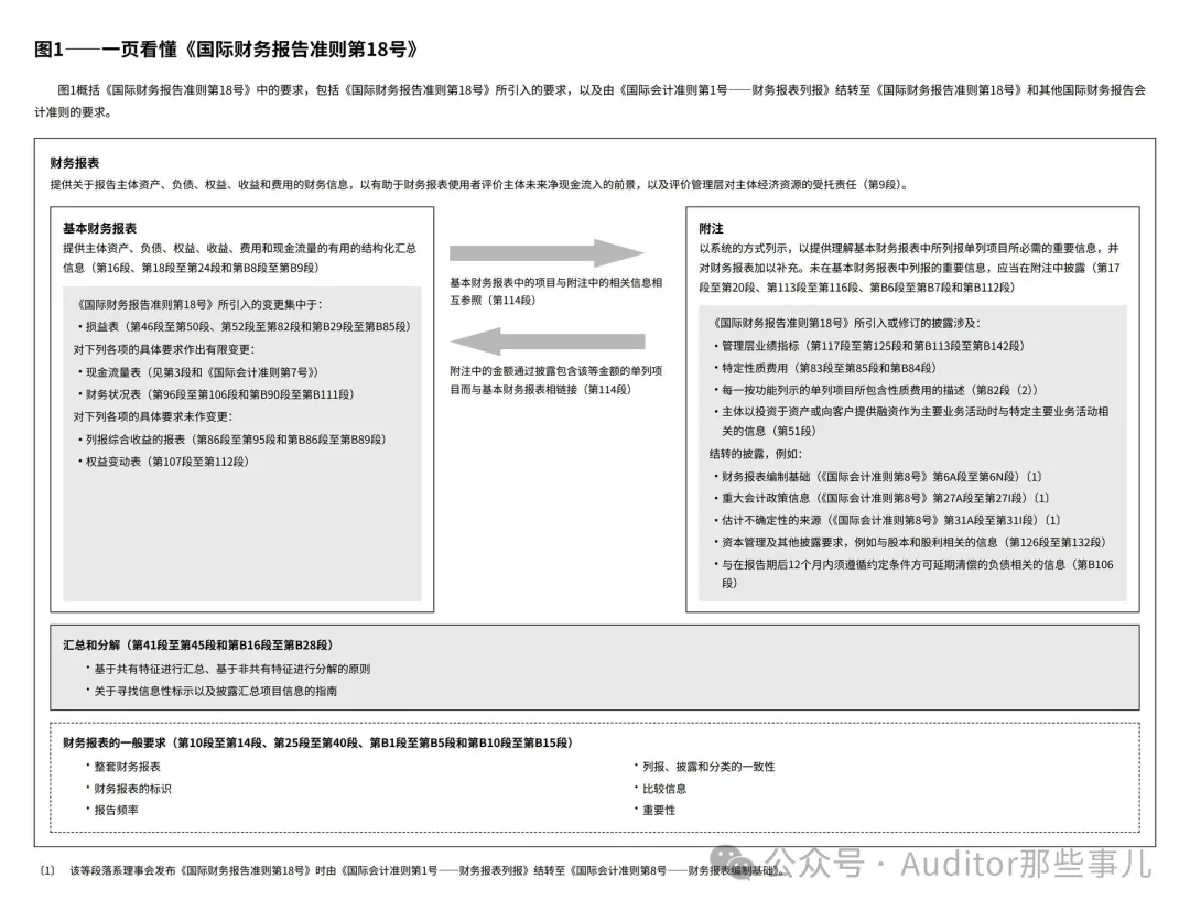 IFRS 18 说明性示例 图1 中文版